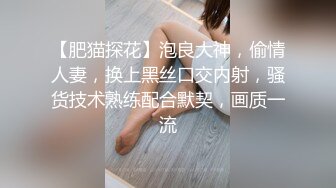 大战2个熟女老阿姨