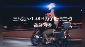 STP26289 【漂亮眼镜爆乳御姐大战炮友】大阴唇无毛骚逼手指猛扣黑白丝袜白皙美腿特写视角后入抽插插完小穴插菊花 VIP0600