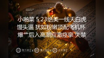 跳舞的老婆9 埋头苦干