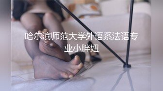 后入骚逼母狗