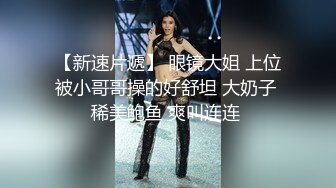 抖S麥娜會長大人被抖M筆記支配了 2