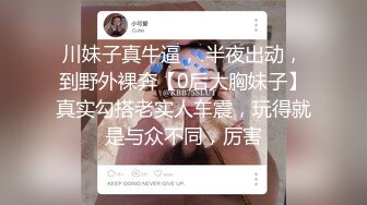 上集,小偷与租客的故事