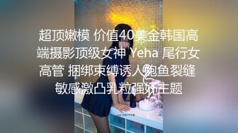 超顶嫩模 价值40美金韩国高端摄影顶级女神 Yeha 尾行女高管 捆绑束缚诱人鲍鱼裂缝 敏感激凸乳粒强奸主题