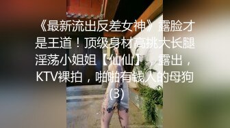 《最新流出反差女神》露脸才是王道！顶级身材高挑大长腿淫荡小姐姐【仙仙】，露出，KTV裸拍，啪啪有钱人的母狗 (3)