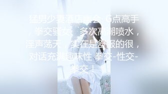 颜值美少女！性感黑丝极度淫骚！假屌吸在墙上后入，从下往上拍摄完美视角