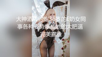 大神酒店约炮36岁的E奶女同事各种姿势爆插她的大肥逼 完美露脸