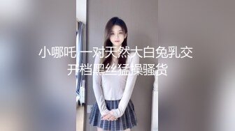 国产CD系列伪娘小舞之菊花吞吐自慰棒 肉丝裹着鸡儿打飞机射出