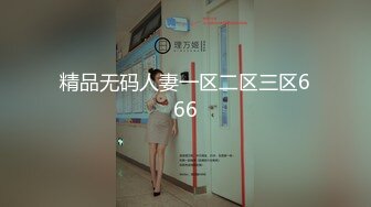 精品无码人妻一区二区三区666