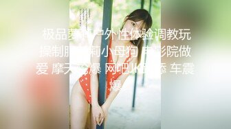  极品萝莉户外性体验调教玩操制服萝莉小母狗 电影院做爱 摩天轮爆 网吧JK跪舔 车震爆