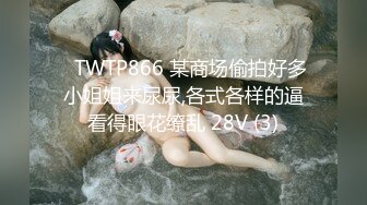 ✅TWTP866 某商场偷拍好多小姐姐来尿尿,各式各样的逼看得眼花缭乱 28V (3)