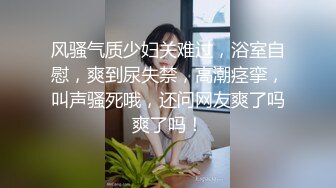  丰满熟女半老徐娘的黑丝大肥屁股，豪乳爱不释手，上来就深喉吃鸡卧室中超多姿势