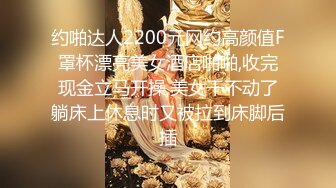 麻豆传媒-女神恋爱巴士 淫乱巴士的性爱惩处 麻豆女神苏清歌 上集