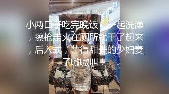 MD-0131_國風旗袍初登場冷艷美人的情趣遊戲官网苏清歌