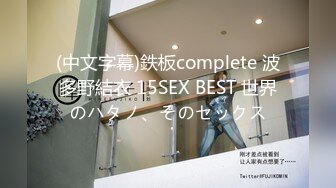 (中文字幕)鉄板complete 波多野結衣 15SEX BEST 世界のハタノ、そのセックス