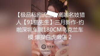 自录无水印 【兔子】P2高颜值巨乳热舞抖奶插道具12月25-29【20V】2 (2)