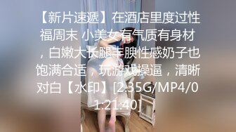 国产AV 葫芦影业 HUL032 美丽善良的家政妇