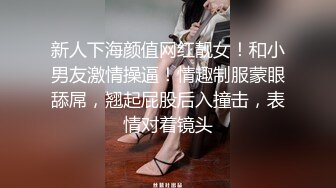 1/9最新 骚货女秘书卫生间情趣黑丝翘美臀无套后入VIP1196