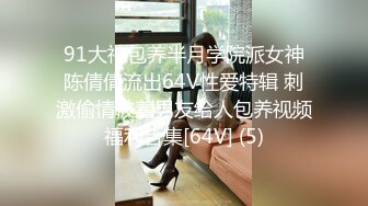 白川麻衣热门版