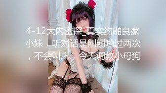 4-12大内密探_真实约啪良家小妹，听对话是刚刚啪过两次，不会叫床，今天调教小母狗