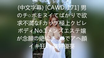 猥琐肥宅特型演员ゴロー与高质量女优一对一合集含中文字幕【11V】 (6)