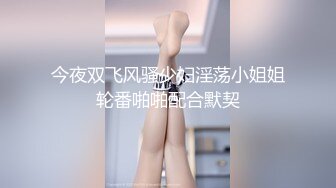 无人后继06百褶裙厚黑丝掀裙