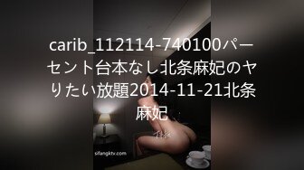 carib_112114-740100パーセント台本なし北条麻妃のヤりたい放題2014-11-21北条麻妃