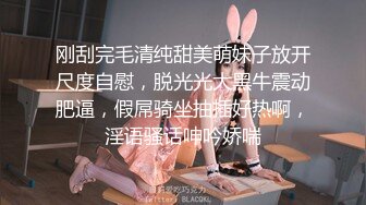 女友玩手机 我拿大屌来勾引她的骚兴